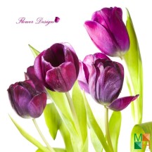 Tranh dán tường 3d đẹp cho phòng ngủ tại Hà Nội FW - 011